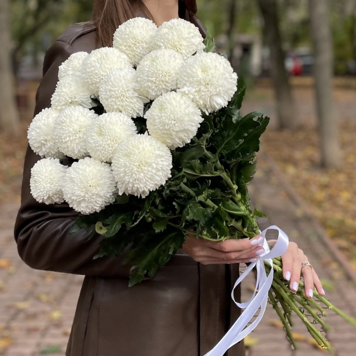 Белые хризантемы Помпон Супербоул