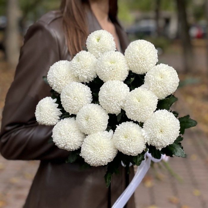 Белые хризантемы Помпон Супербоул