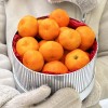 Большая Подарочная коробка с мандаринами