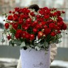 Большая композиция из красных ранункулюсов в коробке