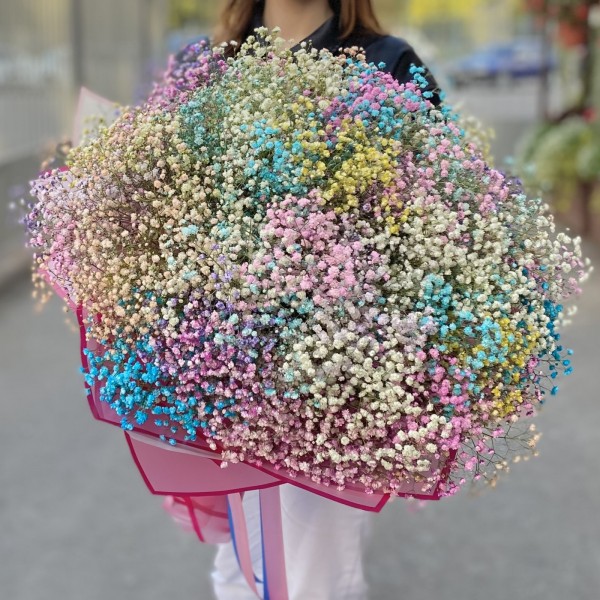 Большое облако радужной гипсофилы