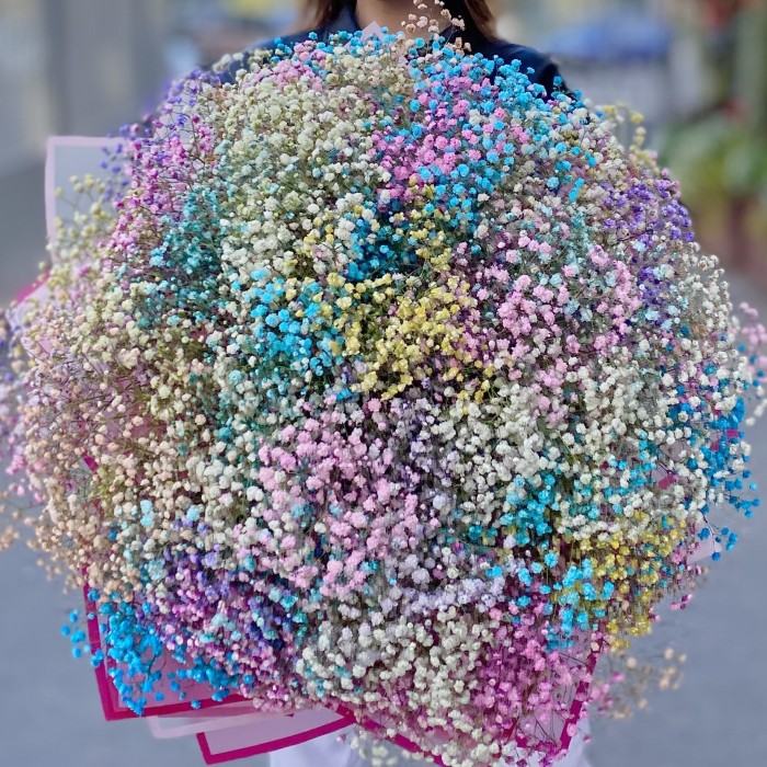 Большое облако радужной гипсофилы