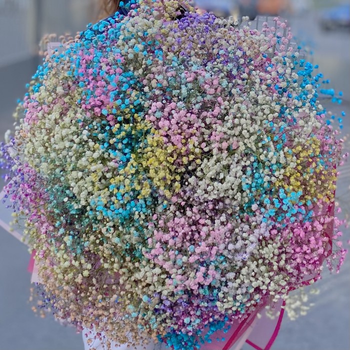 Большое облако радужной гипсофилы