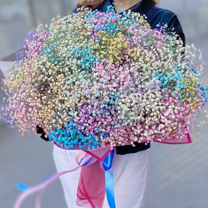 Большое облако радужной гипсофилы