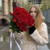 Бордовая кустовая хризантема Бакарди