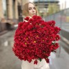 Бордовая кустовая хризантема Бакарди