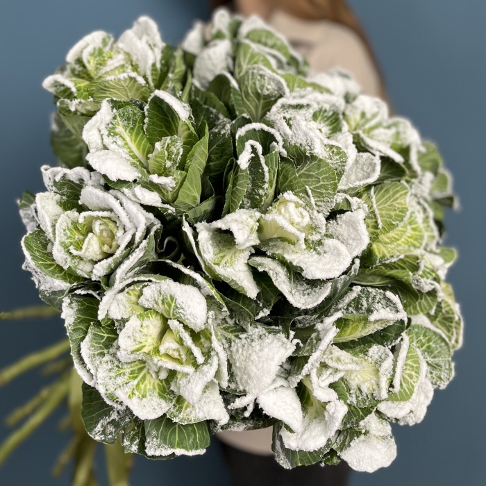 Брассика в снегу