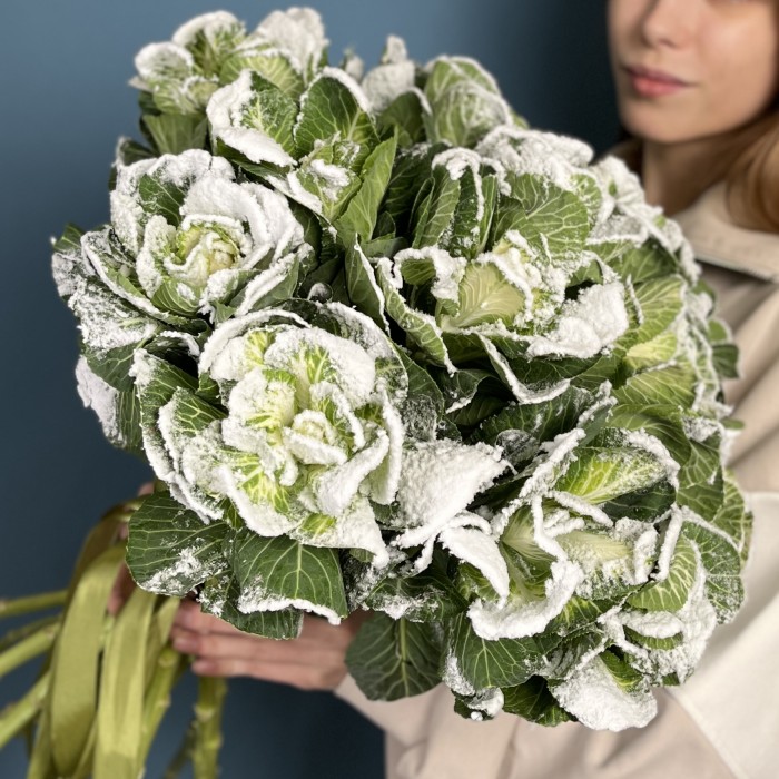 Брассика в снегу