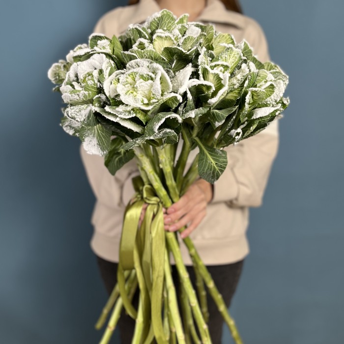 Брассика в снегу