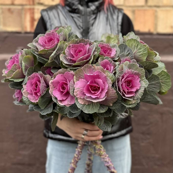 Брассика кустовая Светлана