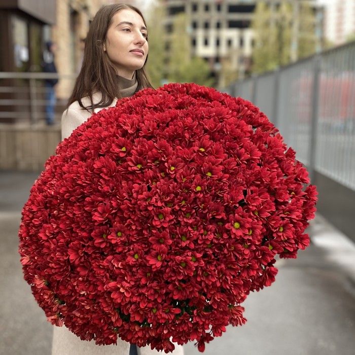 Букет из 101 бордовой хризантемы Бакарди