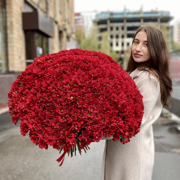 Букет из 101 бордовой хризантемы Бакарди