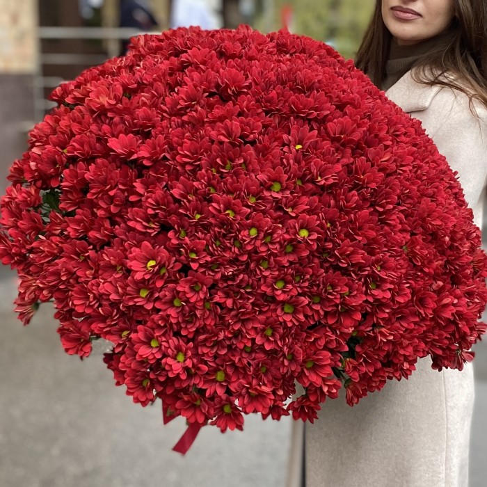 Букет из 101 бордовой хризантемы Бакарди