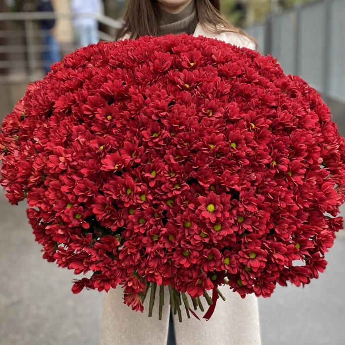Букет из 101 бордовой хризантемы Бакарди