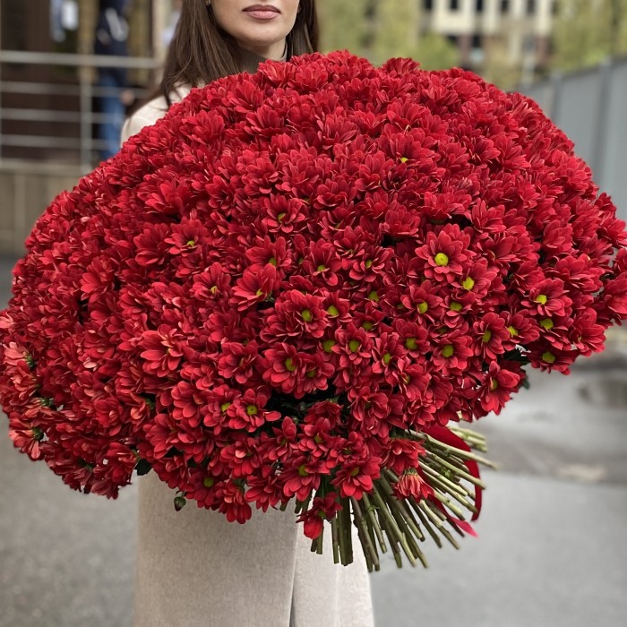 Букет из 101 бордовой хризантемы Бакарди