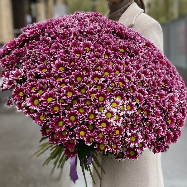 Букет из 101 хризантемы Хайдар Пинк
