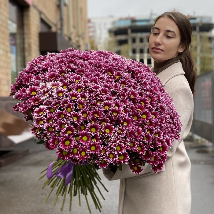 Букет из 101 хризантемы Хайдар Пинк