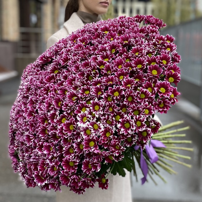Букет из 101 хризантемы Хайдар Пинк