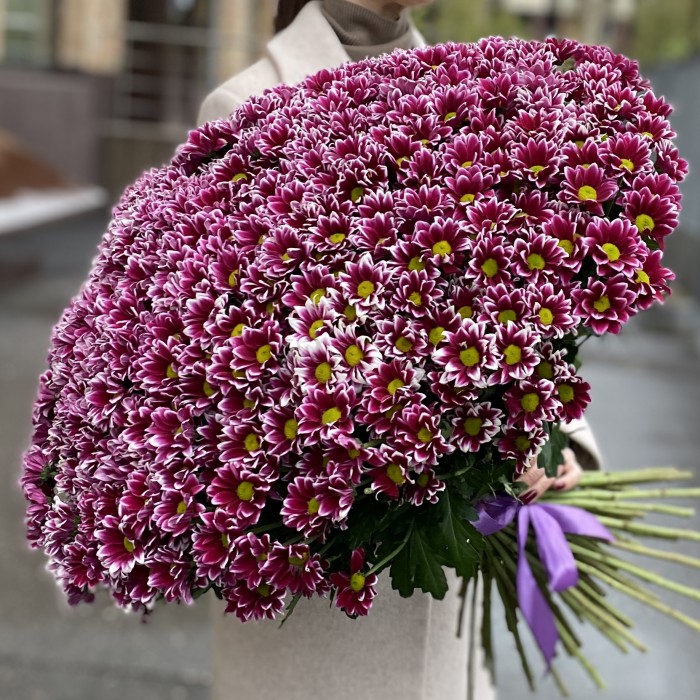 Букет из 101 хризантемы Хайдар Пинк