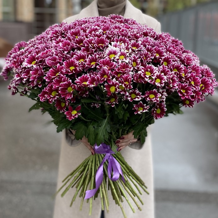 Букет из 101 хризантемы Хайдар Пинк