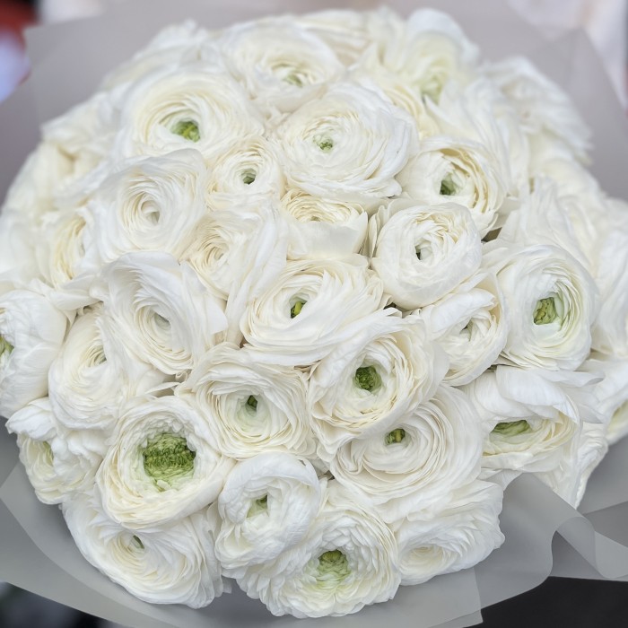 Букет из 51 белого Ранункулюса
