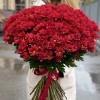 Букет из 51 бордовой хризантемы Бакарди