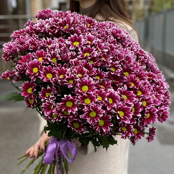 Букет из 51 хризантемы Хайдар Пинк