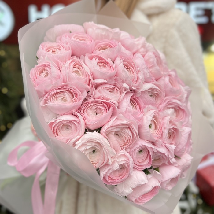 Букет из 51 розового Ранункулюса