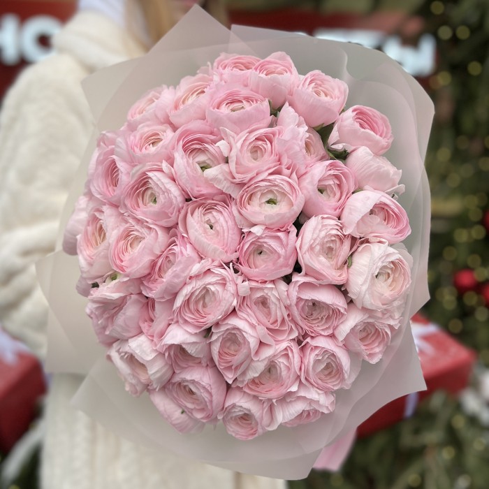 Букет из 51 розового Ранункулюса