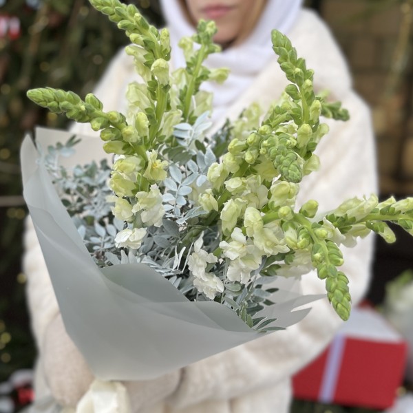 Букет из антиринума с зеленью