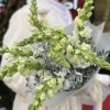 Букет из антиринума с зеленью