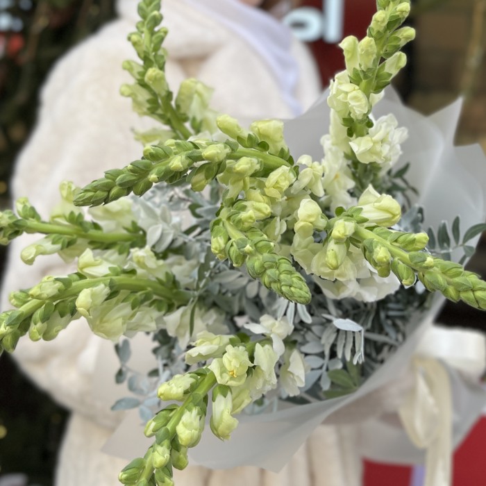 Букет из антиринума с зеленью