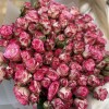 25 кустовых пионовидных роз Сансет Мэджик 50 см