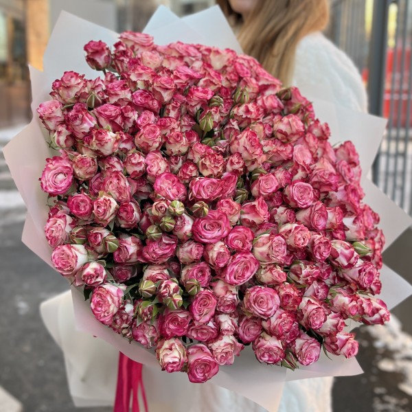 51 кустовых пионовидных роз Сансет Мэджик 50 см