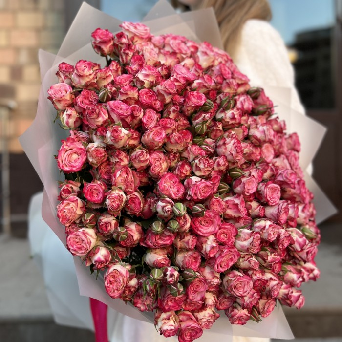 51 кустовых пионовидных роз Сансет Мэджик 60 см