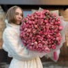 51 кустовых пионовидных роз Сансет Мэджик 60 см
