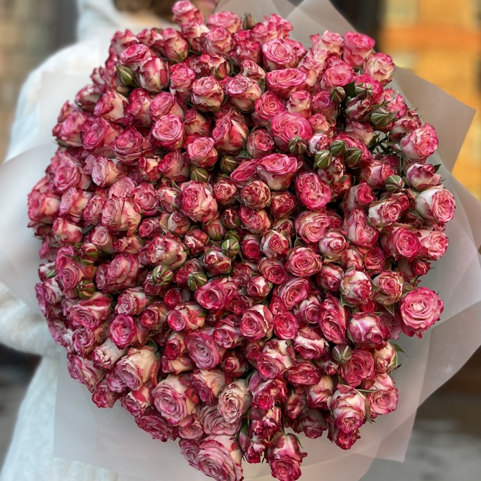 51 кустовых пионовидных роз Сансет Мэджик 60 см