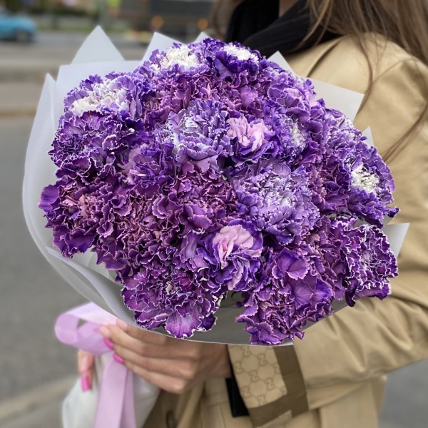 Букет 25 гвоздик Вайт Перпл Молли