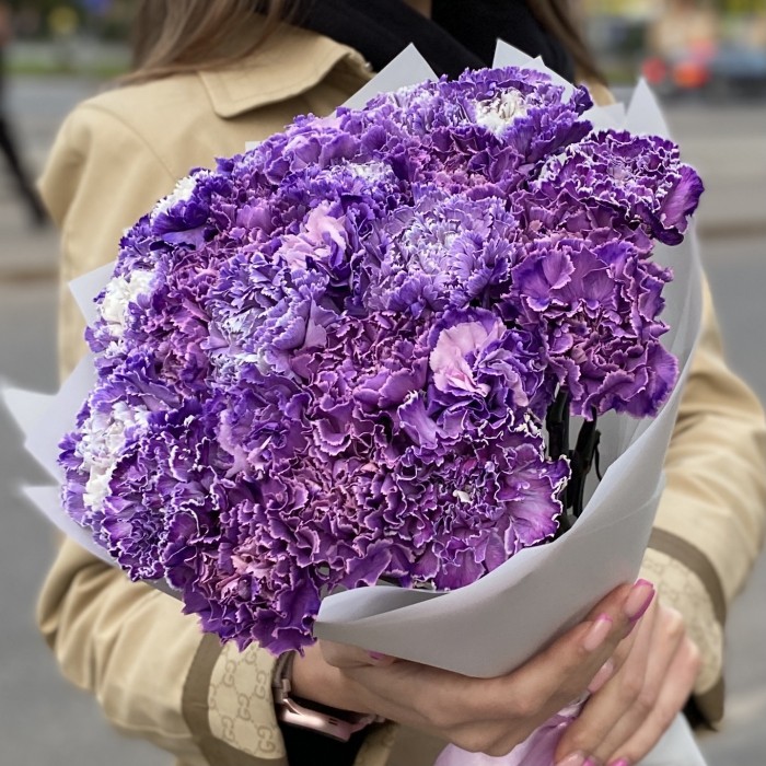 Букет 25 гвоздик Вайт Перпл Молли