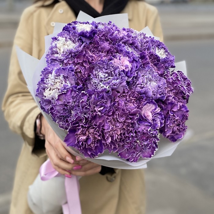 Букет 25 гвоздик Вайт Перпл Молли