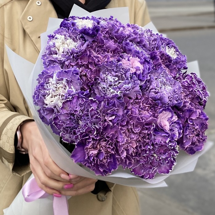 Букет 25 гвоздик Вайт Перпл Молли