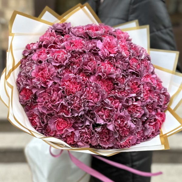 Букет из 101 гвоздики сорта Гипноз