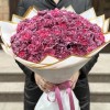Букет из 101 гвоздики сорта Гипноз