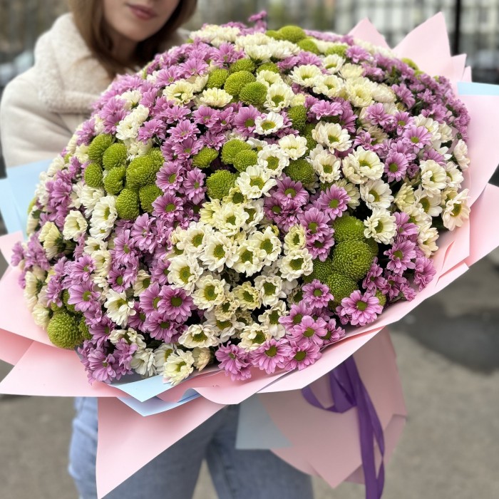 Букет из 101 хризантемы сантини Микс