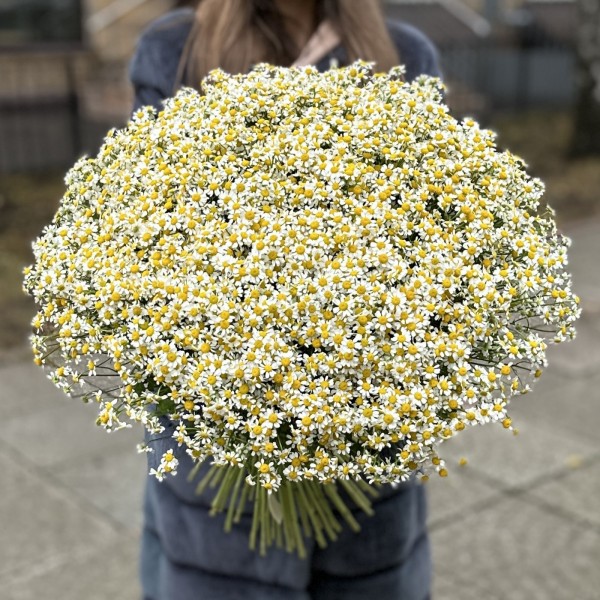Букет из 101 ромашки