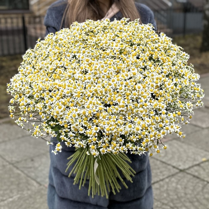Букет из 101 ромашки