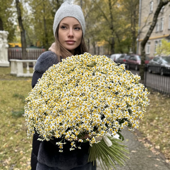 Букет из 101 ромашки