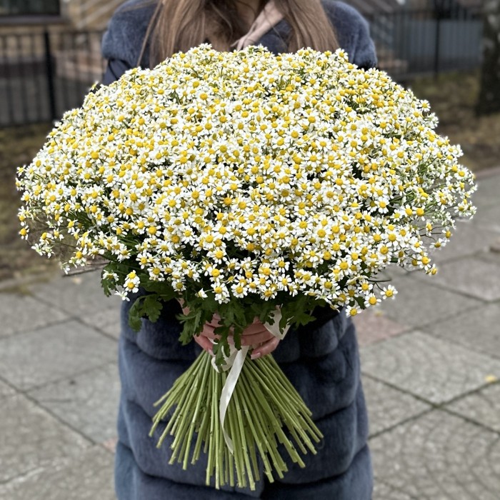 Букет из 101 ромашки