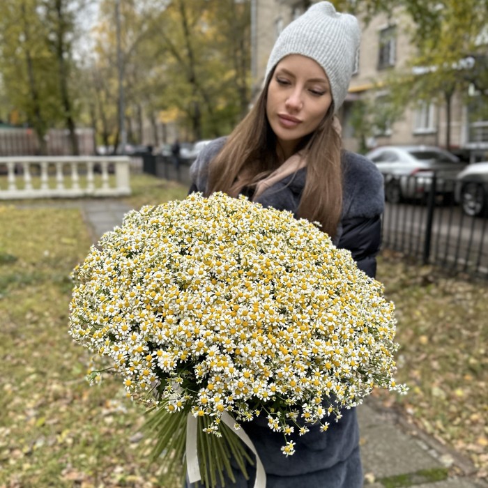Букет из 101 ромашки