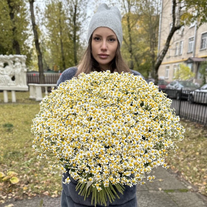 Букет из 101 ромашки